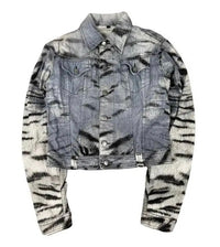 FW2004 Roberto Cavalli zebra scratched Jacket